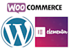 design a responsive wordpress and woocommerce site