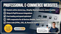 build a professional website for you