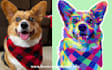draw amazing pop art from your pet
