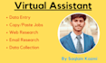 do web research, excel data entry and online search