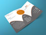provide a luxury flyer