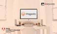 do magento 2 website development and customizations