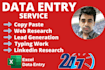 data entry, web research, copy paste, data scraping