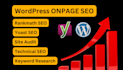 do complete wordpress onpage SEO optimization with yoast or rankmath