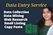 do accurate data entry and copy paste job
