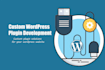 develop   custom wordpress plugin