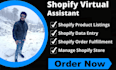 do professional shopify theme customization and bug fixing service