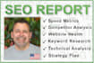 audit the SEO metrics of your small business and deliver a improvement strategy