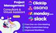 be your project manager and consultant for clickup and monday