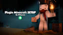 setup minecraft server professional, plugins, custom object