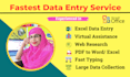 do fastest data entry, copy paste, fast typing, excel data entry