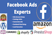 run facebook advertisement selected audience