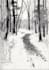 create a black and white hand drawn illustrations in ink