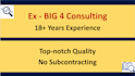 professional market research big 4 experience