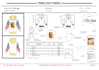 create fashion technical sketch and tech packs