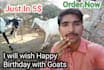 wish happy birthday and sing song with my goats
