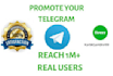do telegram and website promotion
