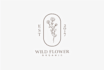 design botanical  hand drawn logo