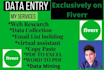 do data entry within 24hours