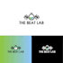 design professional minimalist logo within 24 hours