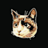 create your pet in pixel art