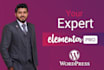 be your pro elementor expert for elementor wordpress website