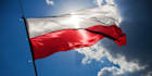 proofread any kind of text in polish