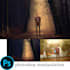 do professional photo manipulation or any photoshop work
