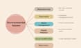 write research articles on environmental issues