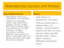 made effective powerpoint presentations in 3 days