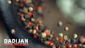 do professional and elegant video editing within few hours