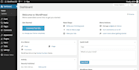 fix any backend or frontend issue for wordpress websie
