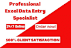 do data entry, copy paste, and excel data entry