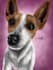 draw animals in digital art