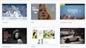 build professional wix website develop