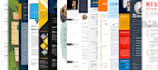 do professional resume writing, cover letter and linkedin profile