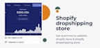 build a profitable dropshipping shopify store or ecommerce store
