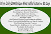 drive daily 2000 unique web traffic visitor for 30 days