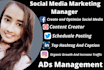 manage,optimize and grow your social media