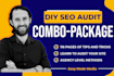 teach you how to SEO audit your own website