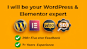be your wordpress and elementor page builder expert