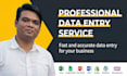do accurate excel data entry, copy paste and pdf to excel