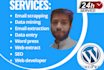 do web scrapping  data mining email extraction data scraping