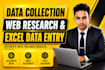 do data collection, web research and excel data entry