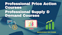 provide best forex courses