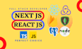be your perfect reactjs nextjs full stack developer