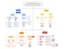 create colorful  mind or concept map within 24 hours