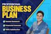 write a professional business plan for you