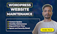 do wordpress website maintenance, support, and troubleshooting