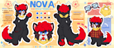 draw a reference sheet for your furry character